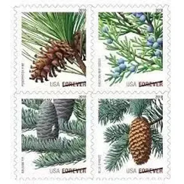 2010 Holiday Evergreens Forever First Class Postage Stamps Foreverstamp
