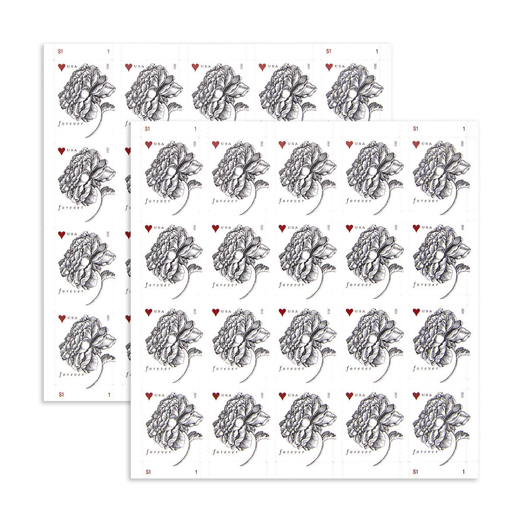 2015 Engraved Vintage Rose Forever First Class Postage Stamps Foreverstamp