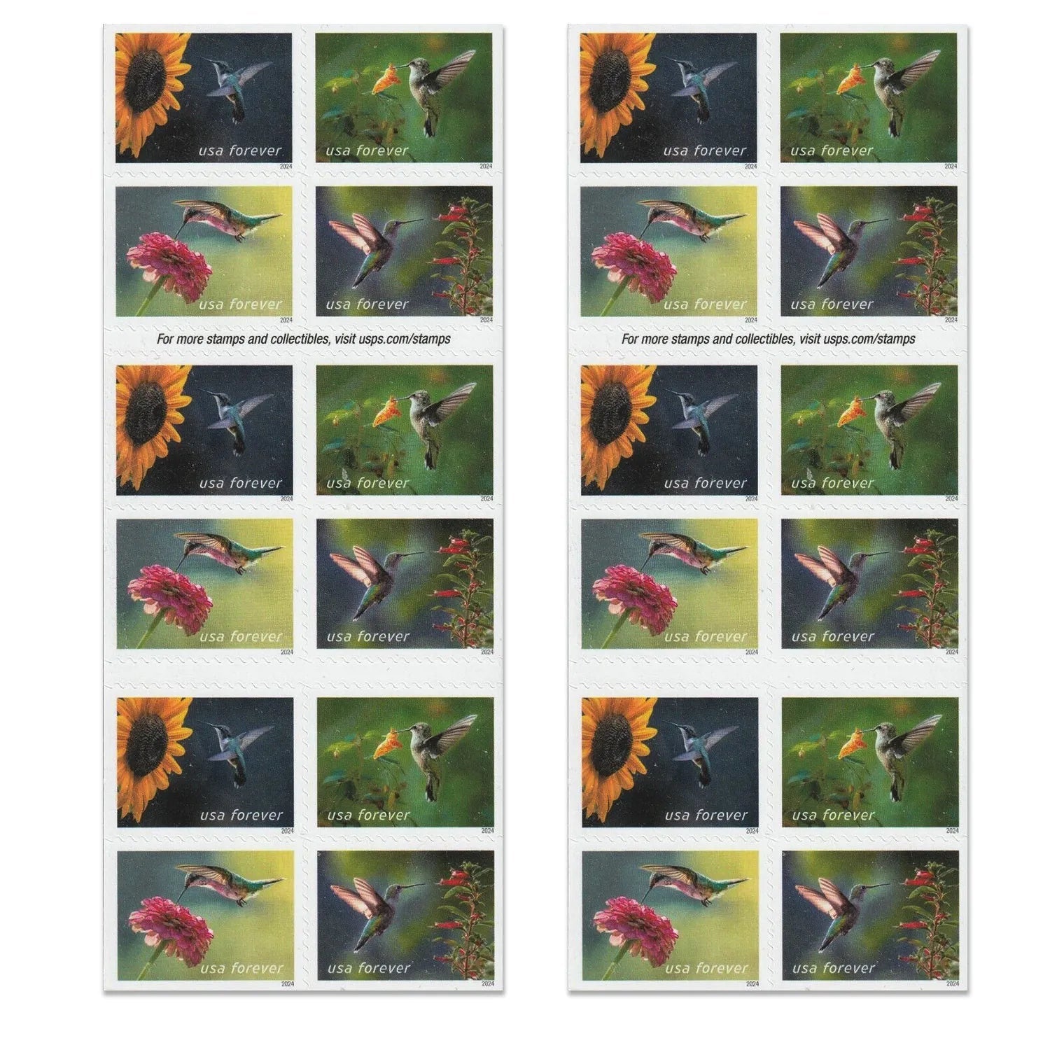 2024 Garden Delights  Forever First Class Postage Stamps OnlineStampClub