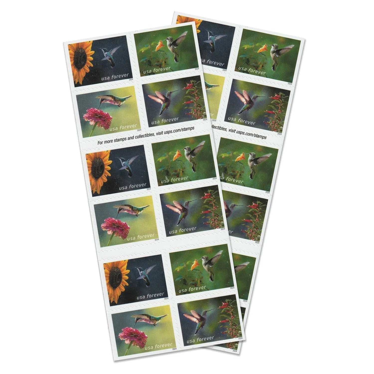 2024 Garden Delights  Forever First Class Postage Stamps OnlineStampClub