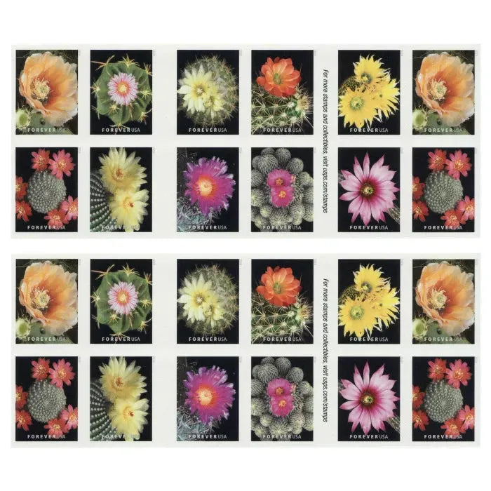 2019 Cactus Flowers Forever First Class Postage Stamps Foreverstamp