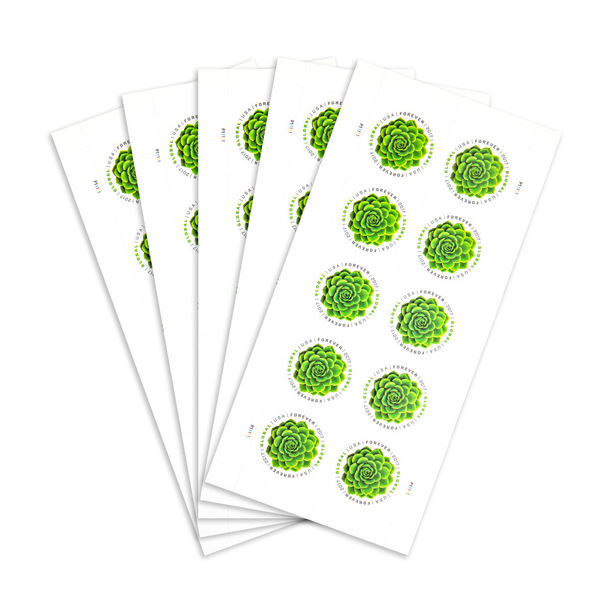 2017 Global Green Succulent  Forever First Class U.S Postage Stamps Foreverstamp