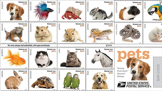 2016 Animals Forever First Class Postage Stamps Foreverstamp
