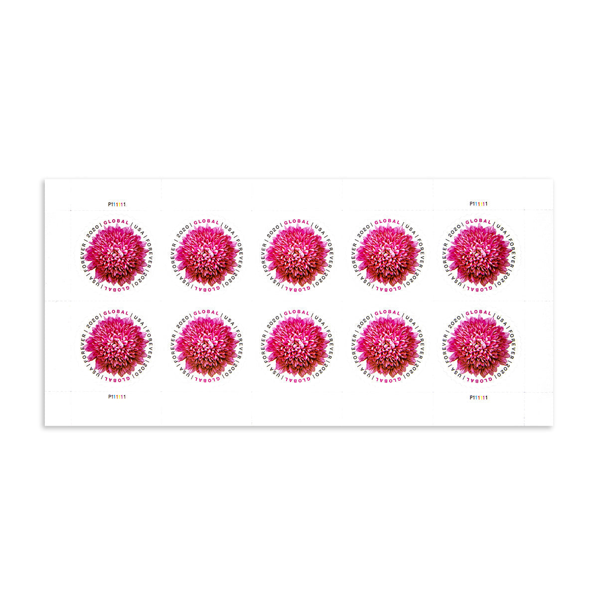 2020 Global Chrysanthemum International  First Class Forever US Postage Stamps Foreverstamp