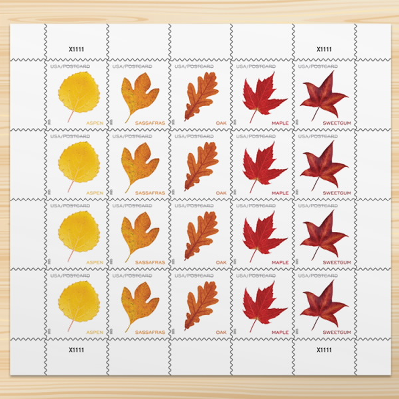 2025 Vibrant Leavea Postcard Forever First Class Postage Stamps (For Postcard Only) Stamp Online Store
