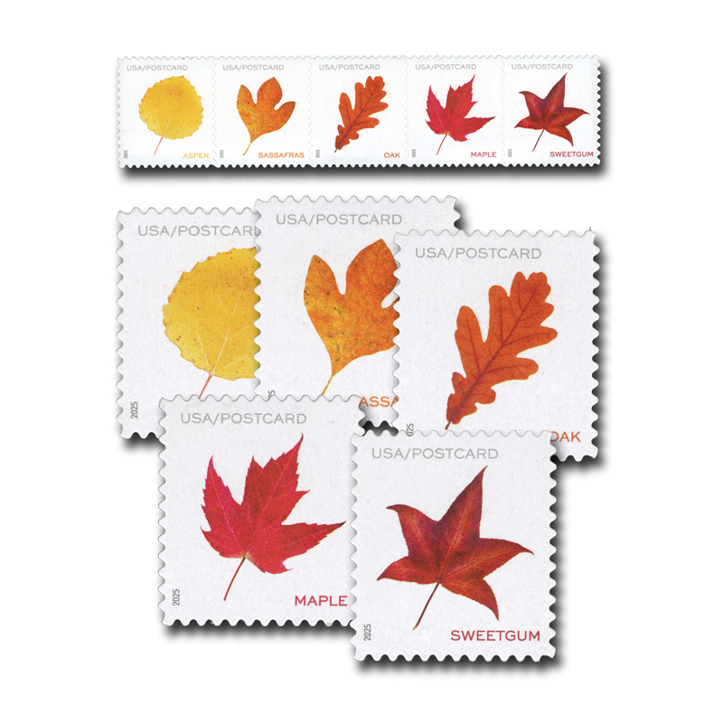 2025 Vibrant Leavea Postcard Forever First Class Postage Stamps (For Postcard Only) Stamp Online Store