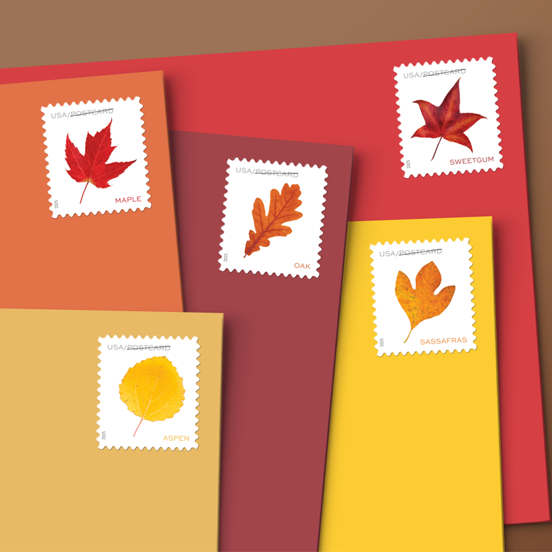 2025 Vibrant Leavea Postcard Forever First Class Postage Stamps (For Postcard Only) Stamp Online Store