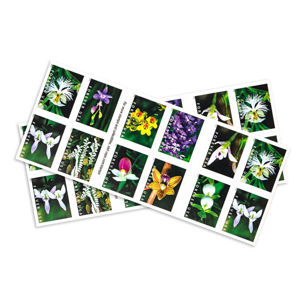 2020 Wild Orchids Forever First Class Postage Stamps Foreverstamp