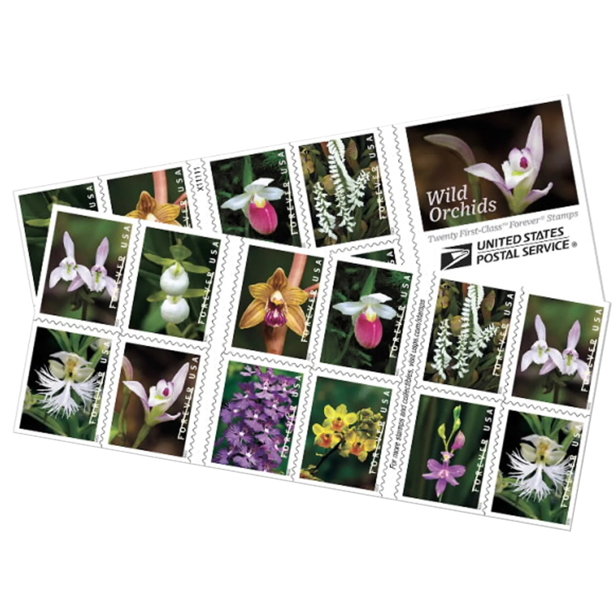 2020 Wild Orchids Forever First Class Postage Stamps Foreverstamp