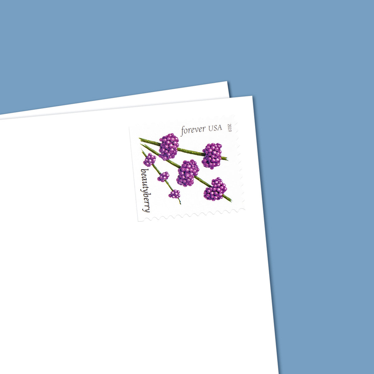 2019 Winter Berries Forever First Class Postage Stamps Foreverstamp