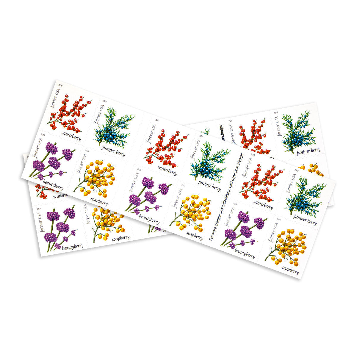 2019 Winter Berries Forever First Class Postage Stamps Foreverstamp