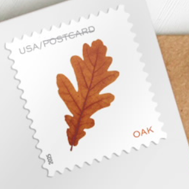 2025 Vibrant Leavea Postcard Forever First Class Postage Stamps (For Postcard Only) Stamp Online Store