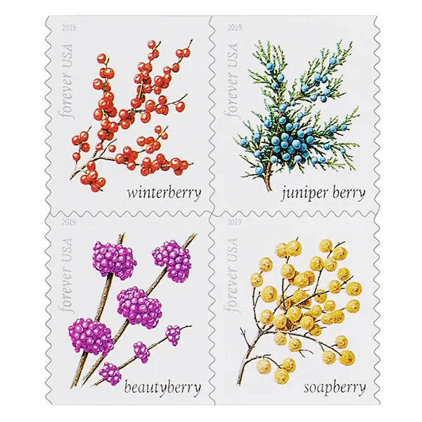 2019 Winter Berries Forever First Class Postage Stamps Foreverstamp