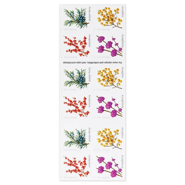 2019 Winter Berries Forever First Class Postage Stamps Foreverstamp