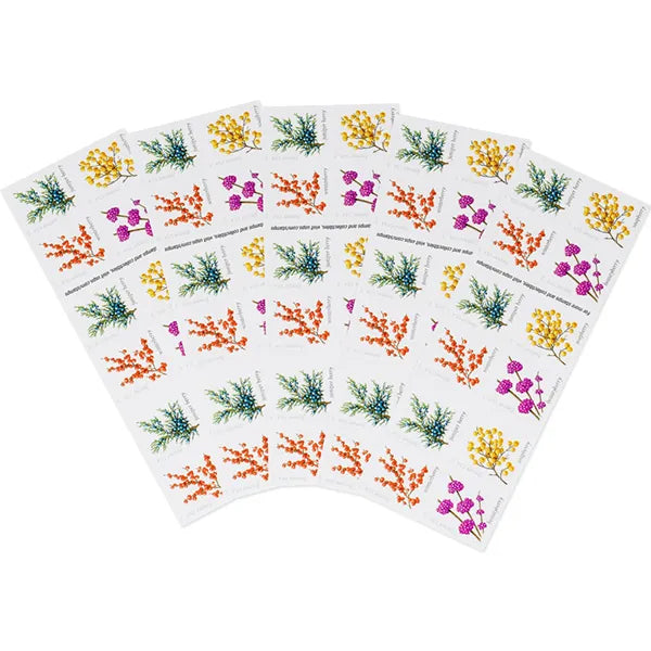 2019 Winter Berries Forever First Class Postage Stamps Foreverstamp