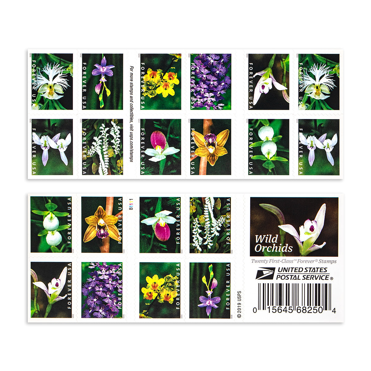 2020 Wild Orchids Forever First Class Postage Stamps Foreverstamp