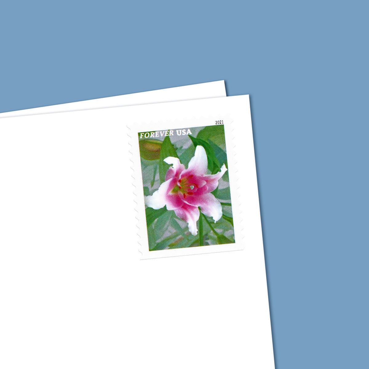 2021 Garden Beauty Forever First Class Postage Stamps Foreverstamp