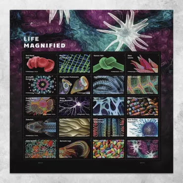 2023 Life Magnified Forever First Class Postage Stamps Foreverstamp