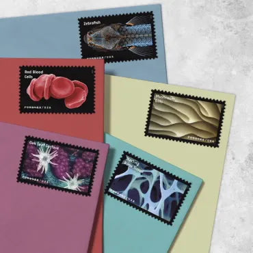 2023 Life Magnified Forever First Class Postage Stamps Foreverstamp
