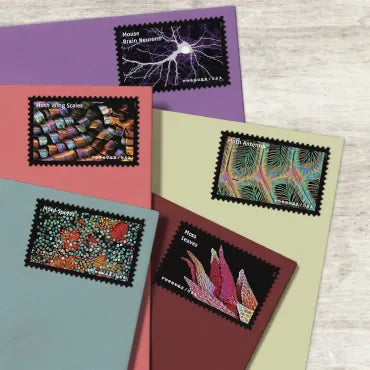 2023 Life Magnified Forever First Class Postage Stamps Foreverstamp