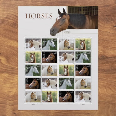 2024 Horses Forever First Class Postage Stamps Online Stamp Club