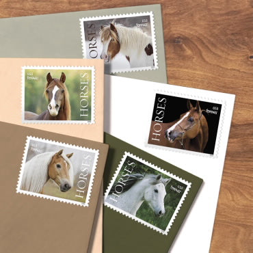 2024 Horses Forever First Class Postage Stamps Online Stamp Club