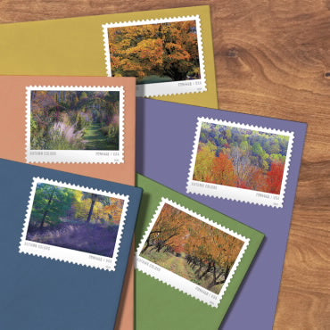 2024 Autumn Colors Stamps Forever First Class Postage Stamps Stamp Online Store