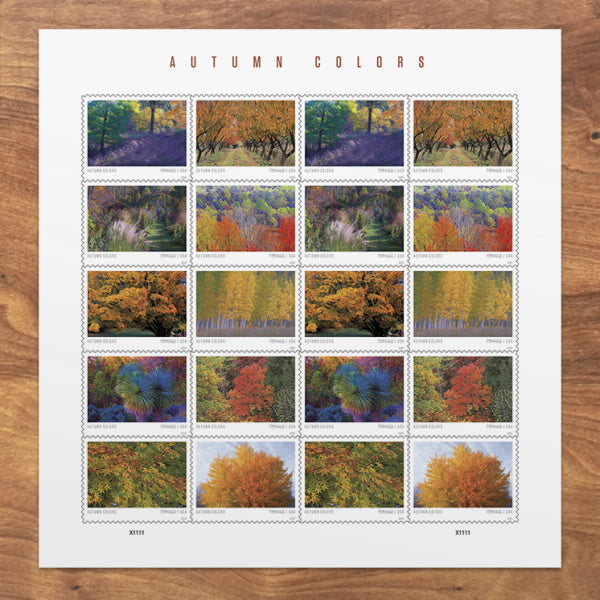 2024 Autumn Colors Stamps Forever First Class Postage Stamps Stamp Online Store