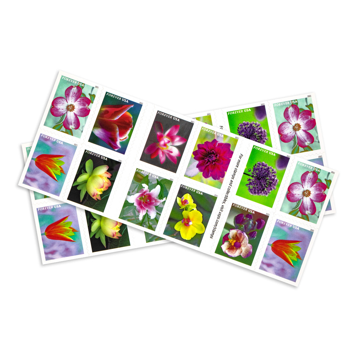 2021 Garden Beauty Forever First Class Postage Stamps Foreverstamp
