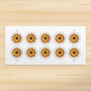 2022 Global African Daisy Global Forever First Class US Postage Stamps Foreverstamp