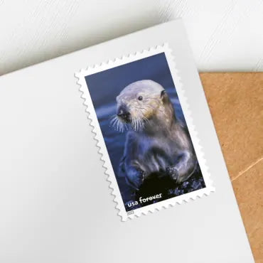 2022 National Marine Sanctuaries Forever First Class Postage Stamps Foreverstamp