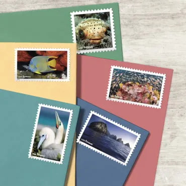 2022 National Marine Sanctuaries Forever First Class Postage Stamps Foreverstamp
