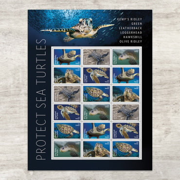2024 Protect Sea Turtles Forever First Class Postage Stamps Online Stamp Club
