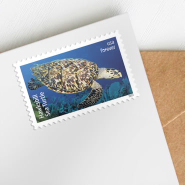 2024 Protect Sea Turtles Forever First Class Postage Stamps Online Stamp Club