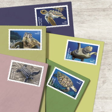2024 Protect Sea Turtles Forever First Class Postage Stamps Online Stamp Club