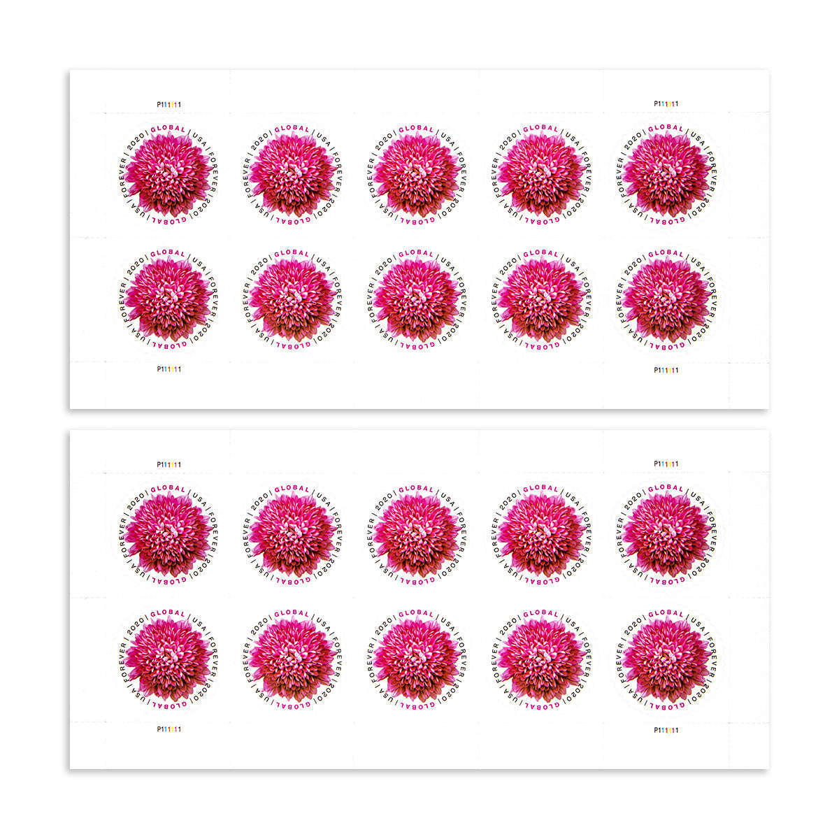 2020 Global Chrysanthemum International  First Class Forever US Postage Stamps Foreverstamp