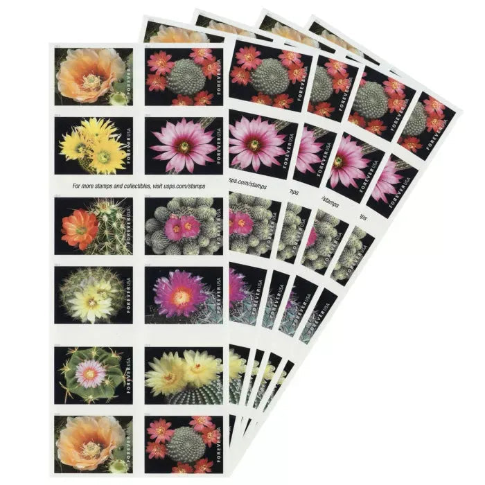 2019 Cactus Flowers Forever First Class Postage Stamps Foreverstamp
