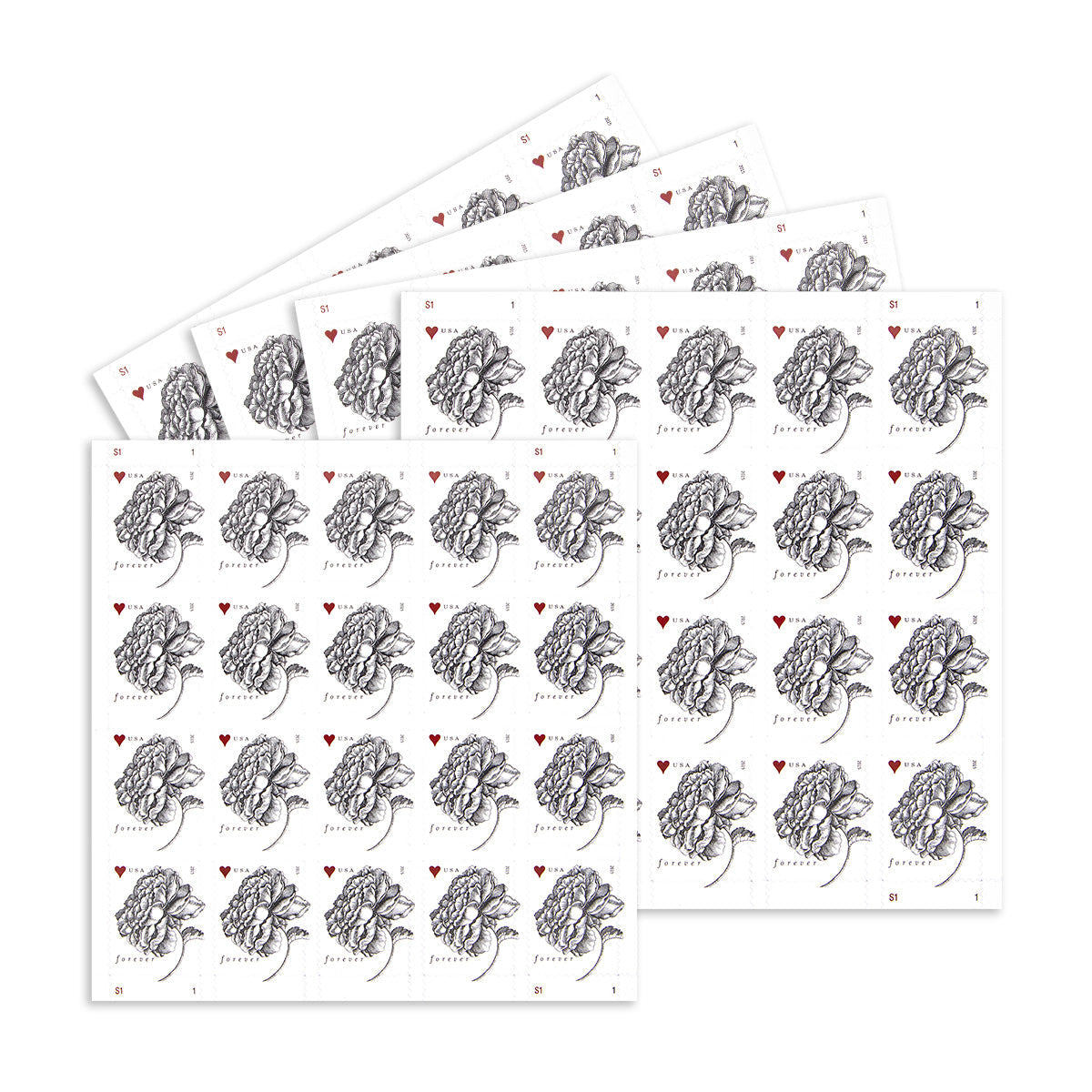 2015 Engraved Vintage Rose Forever First Class Postage Stamps Foreverstamp
