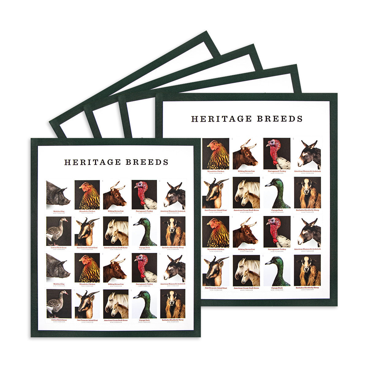 2021 Heritage Breeds Forever First Class Postage Stamps Foreverstamp