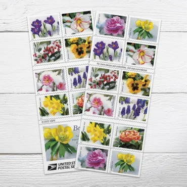 2022 Snowy Beauty Forever First Class Postage Stamps Foreverstamp