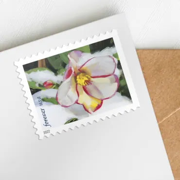 2022 Snowy Beauty Forever First Class Postage Stamps Foreverstamp