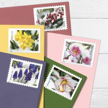 2022 Snowy Beauty Forever First Class Postage Stamps Foreverstamp
