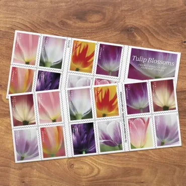2023 Tulips Blossom Forever First Class Postage Stamps Foreverstamp