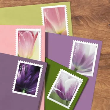 2023 Tulips Blossom Forever First Class Postage Stamps Foreverstamp