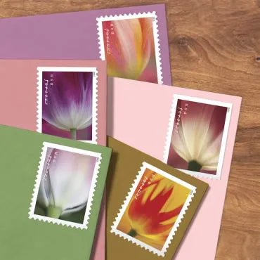 2023 Tulips Blossom Forever First Class Postage Stamps Foreverstamp
