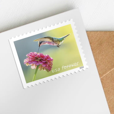 2024 Garden Delights  Forever First Class Postage Stamps OnlineStampClub