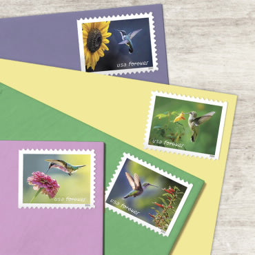 2024 Garden Delights  Forever First Class Postage Stamps OnlineStampClub