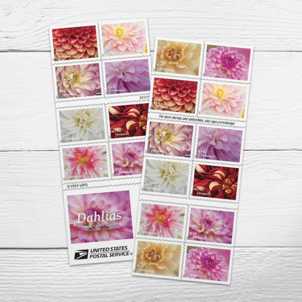 2025 Dahlias Stamps Forever First Class Postage Stamps USPostageHub