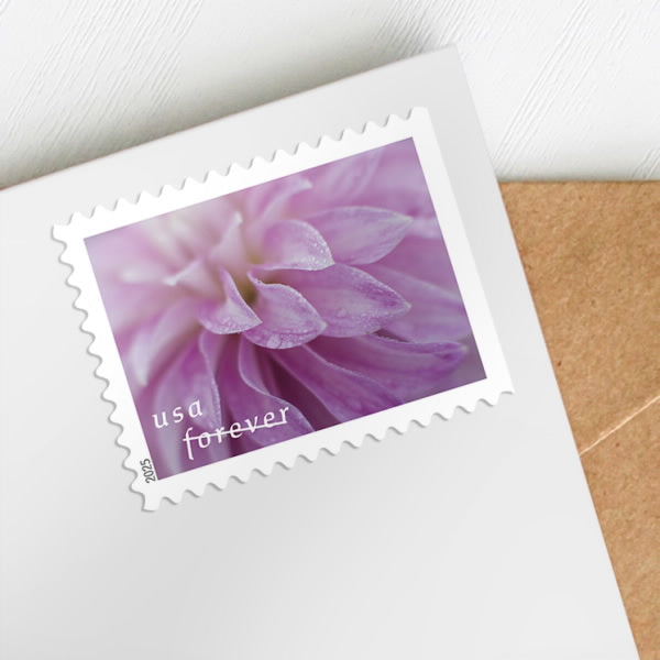 2025 Dahlias Stamps Forever First Class Postage Stamps USPostageHub