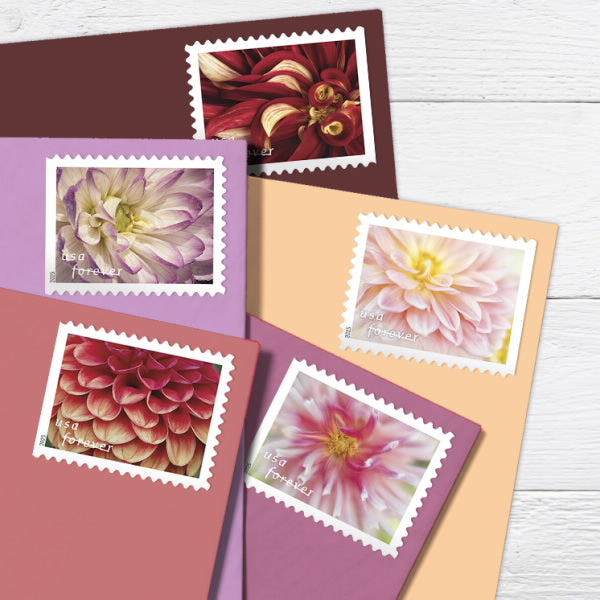 2025 Dahlias Stamps Forever First Class Postage Stamps USPostageHub